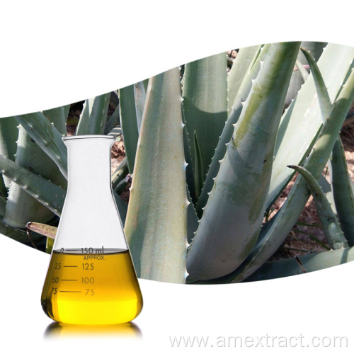Pure Natural Curacao Aloe Vera Gel Juice 20:1